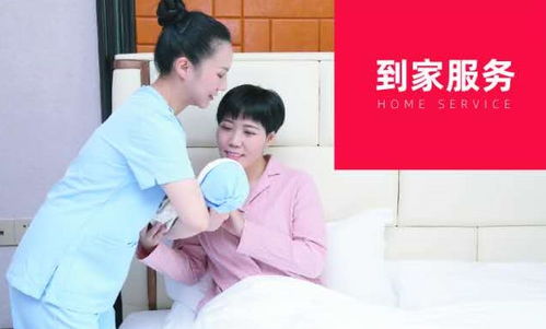 解锁现代生活的万花筒 家政服务的千百种可能